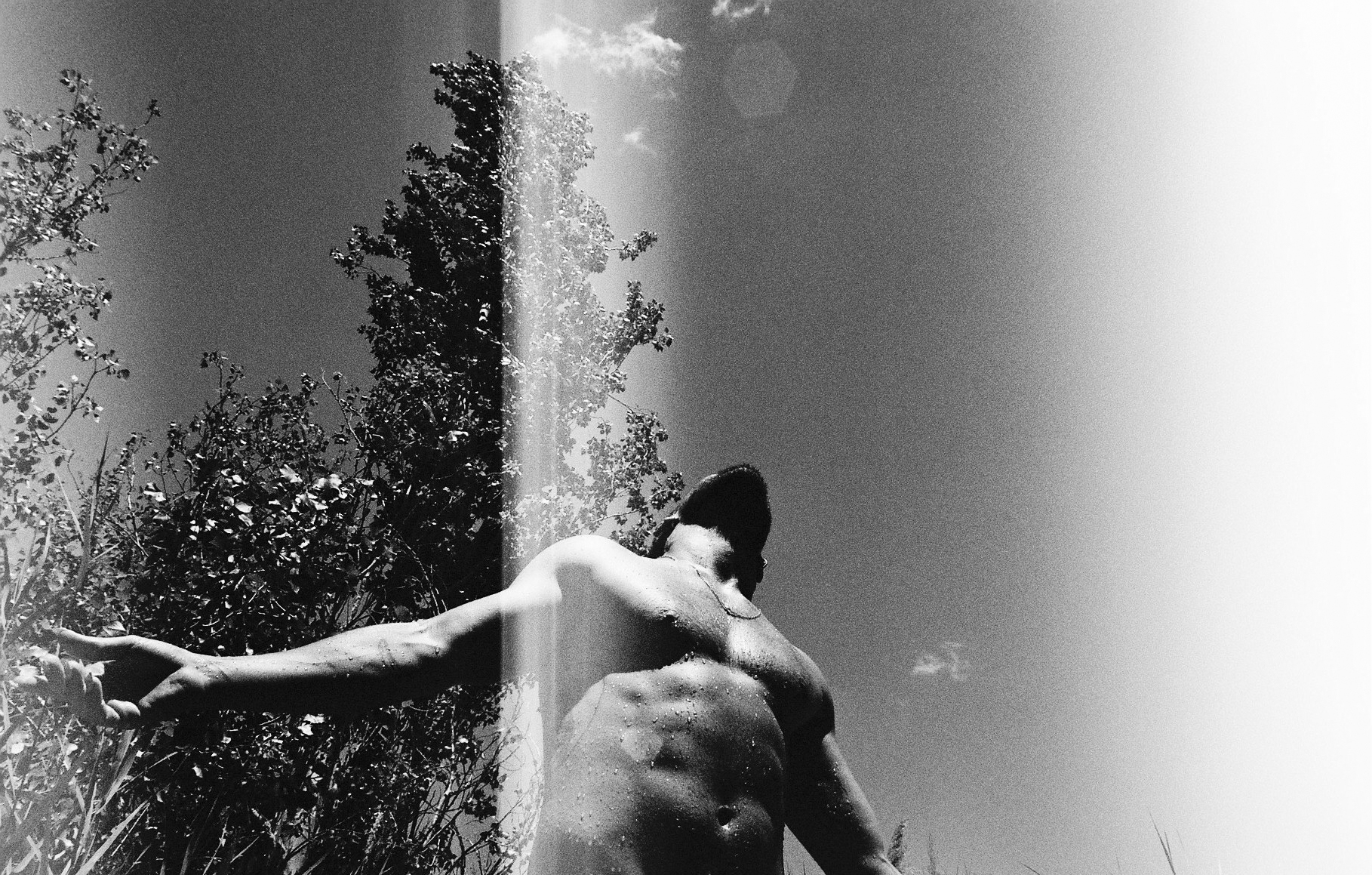 Marc enjoys the sun among popplars